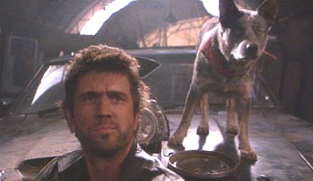 - Mel Gibson e il cane "Dog" insieme alla V8 Interceptor -